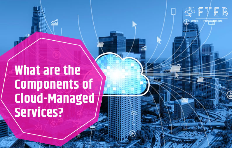 What are the Components of Cloud Managed Services